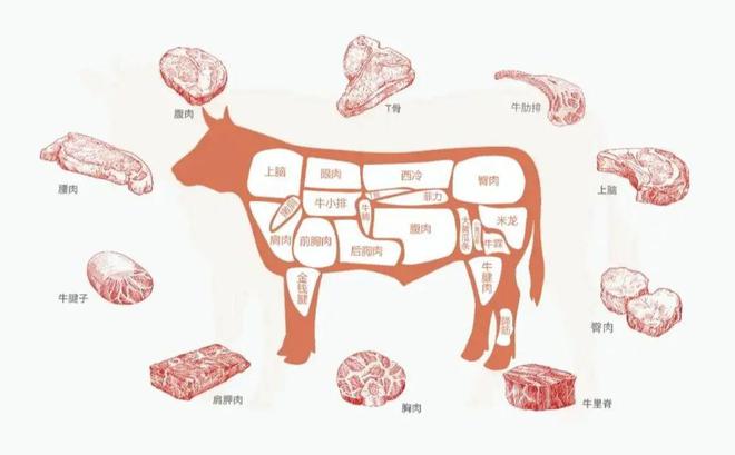 定要注意牢记3不买牛肉爱好者必看！尊龙凯时新版APP买牛肉的时候一(图2)