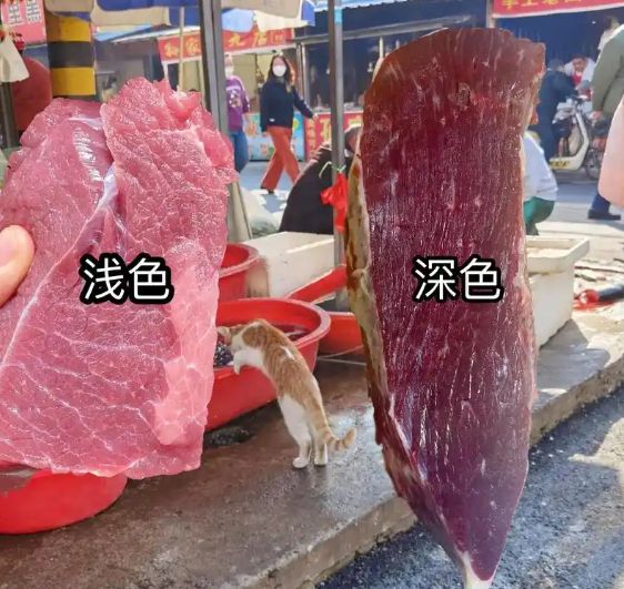 定要注意牢记3不买牛肉爱好者必看！尊龙凯时新版APP买牛肉的时候一(图12)