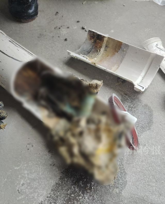 ！业主崩溃：全屋都是无法接受尊龙凯时网站婚房被粪水浸泡(图11)