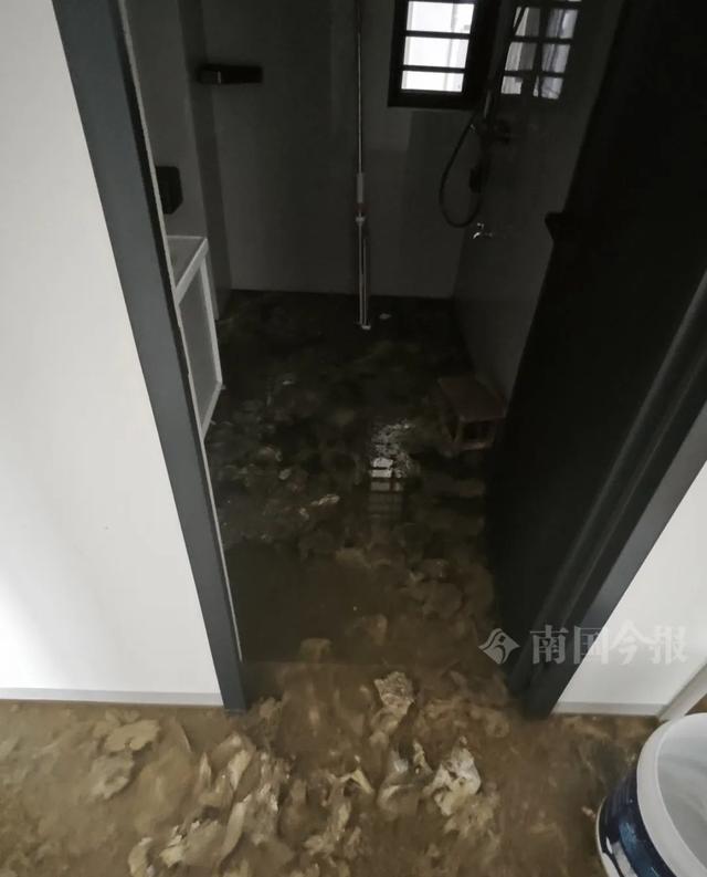 ！业主崩溃：全屋都是无法接受尊龙凯时网站婚房被粪水浸泡(图7)