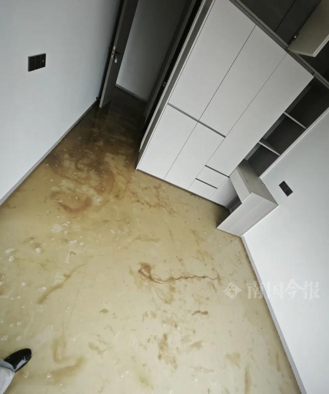！业主崩溃：全屋都是无法接受尊龙凯时网站婚房被粪水浸泡(图3)