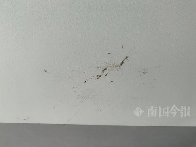 ！业主崩溃：全屋都是无法接受尊龙凯时网站婚房被粪水浸泡(图5)