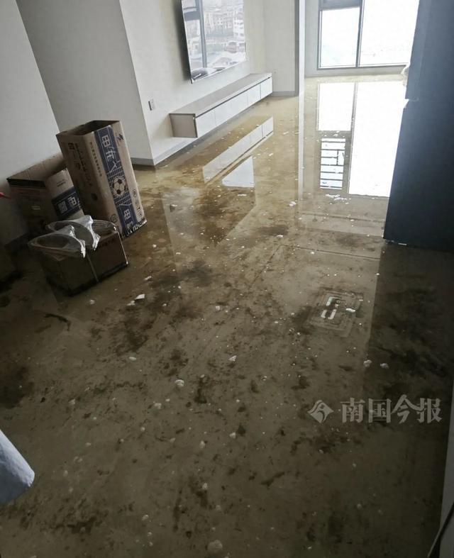 ！业主崩溃：全屋都是无法接受尊龙凯时网站婚房被粪水浸泡(图2)