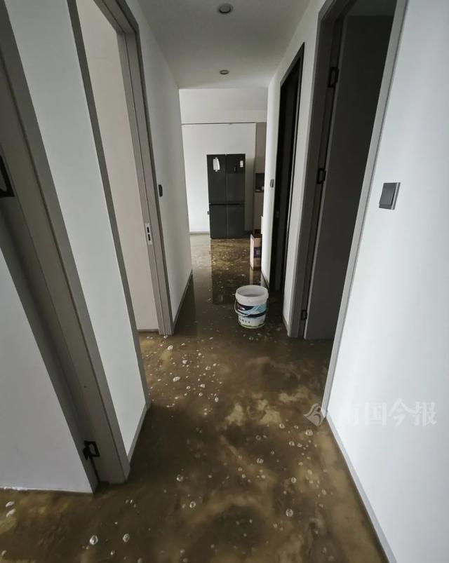 ！业主崩溃：全屋都是无法接受尊龙凯时网站婚房被粪水浸泡(图4)
