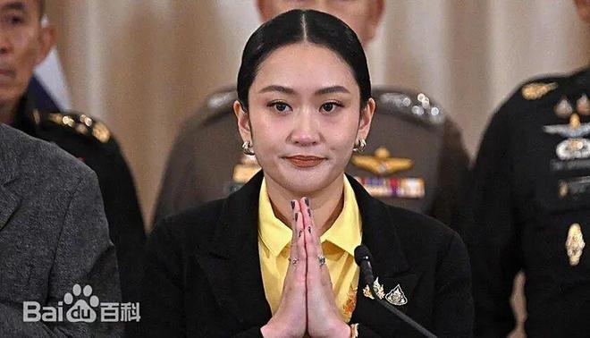 根本原因曝光：犯下三大致命错误神仙救不了！凯时尊龙人生就是博踩到政治炸弹！佩通坦倒台(图3)