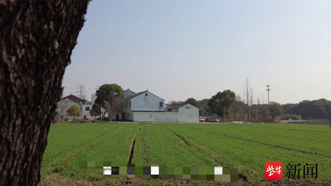 出大头翻修老周他们的春节更“安心”更“温暖”尊龙人生就是博新春走基层｜总漏水的老房子村委(图4)